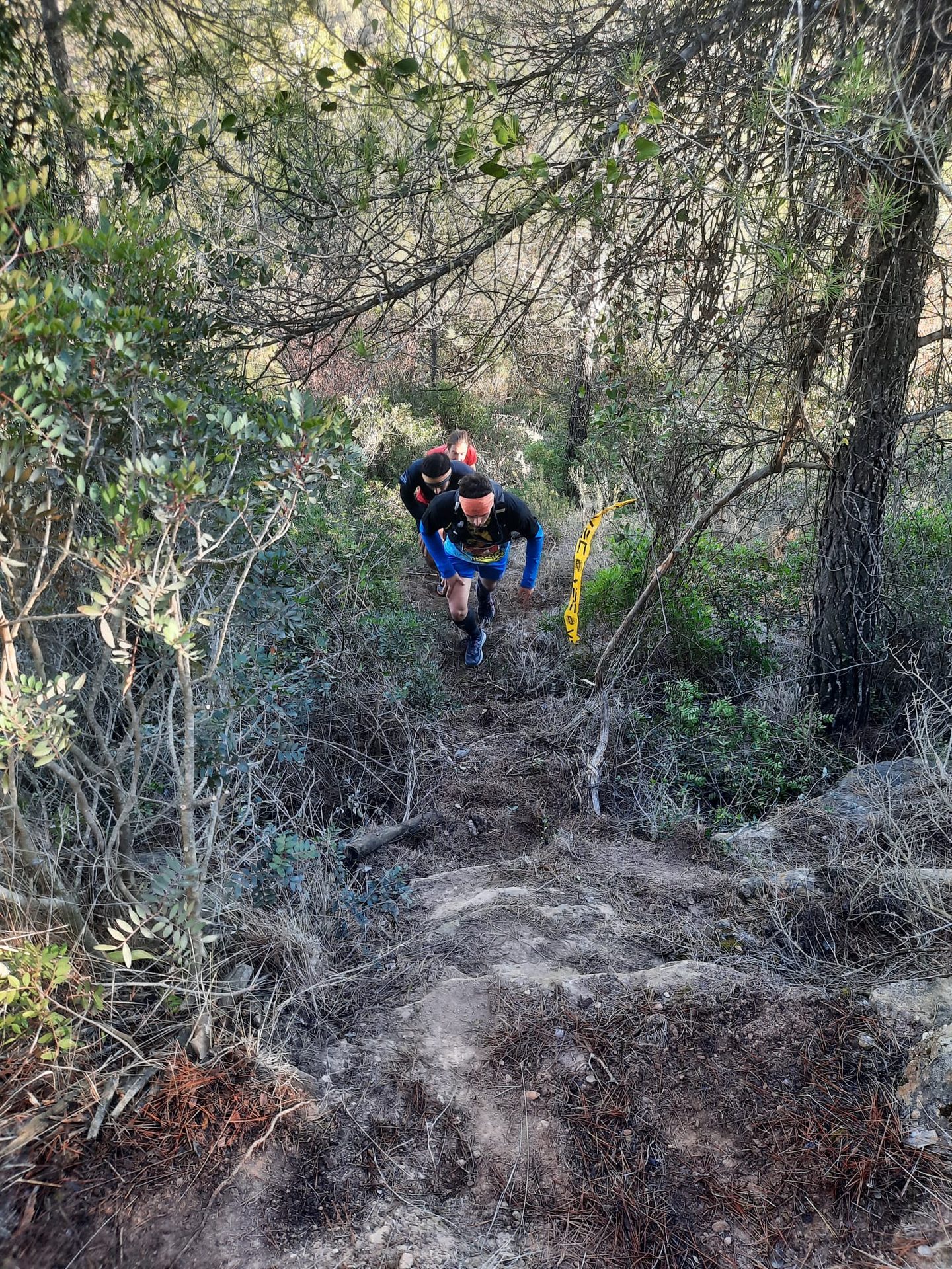Collbaix Trail — foto 23