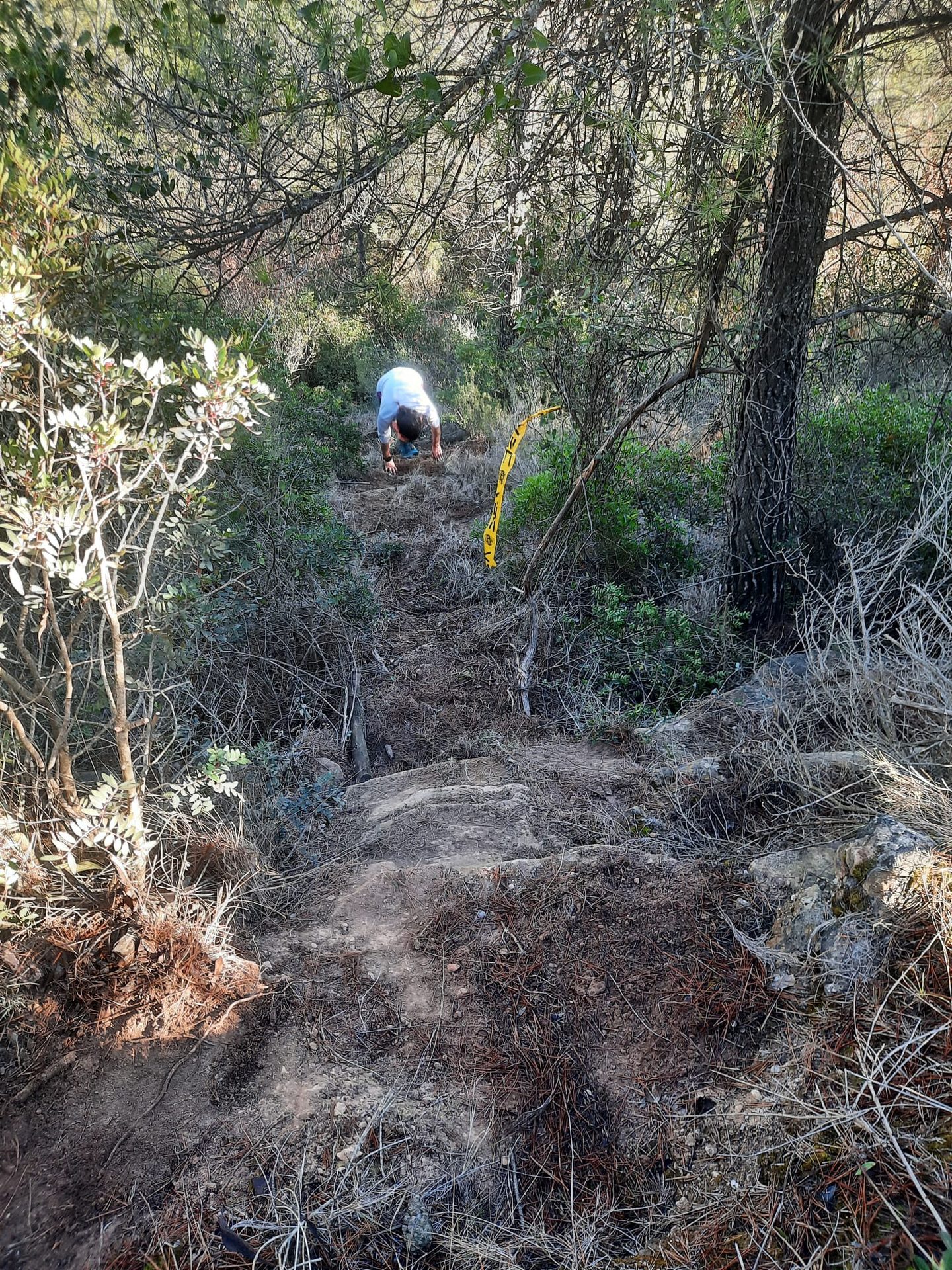 Collbaix Trail — foto 31
