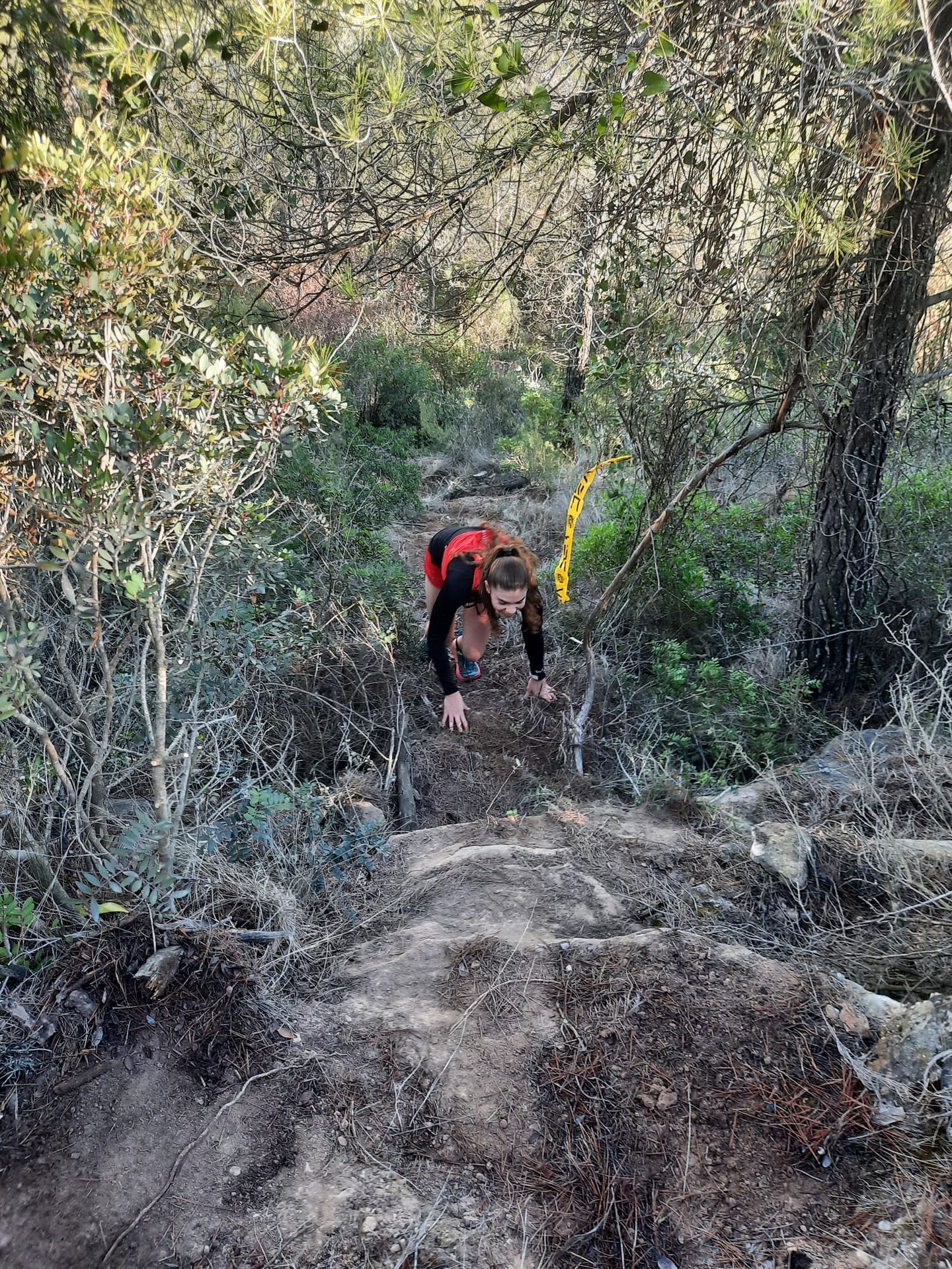 Collbaix Trail — foto 38